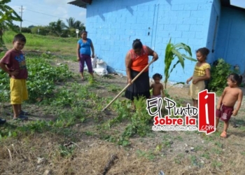 Prevalece alcoholismo y desintegración familiar en Bacalar