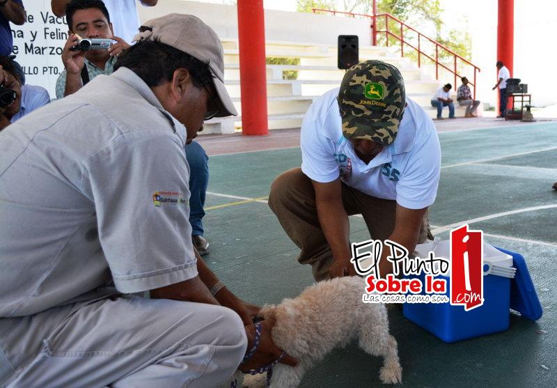 Meten control entre la población canina de FCP