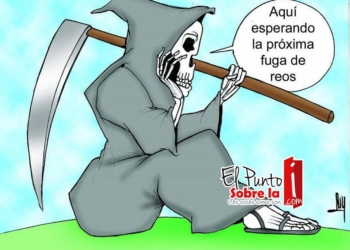 LUY: Insaciable