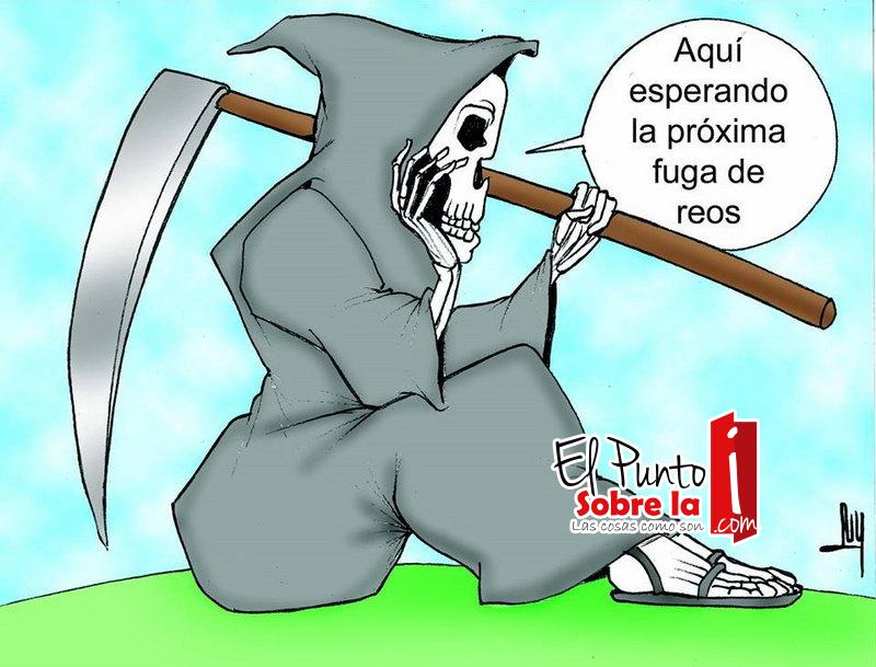 LUY: Insaciable