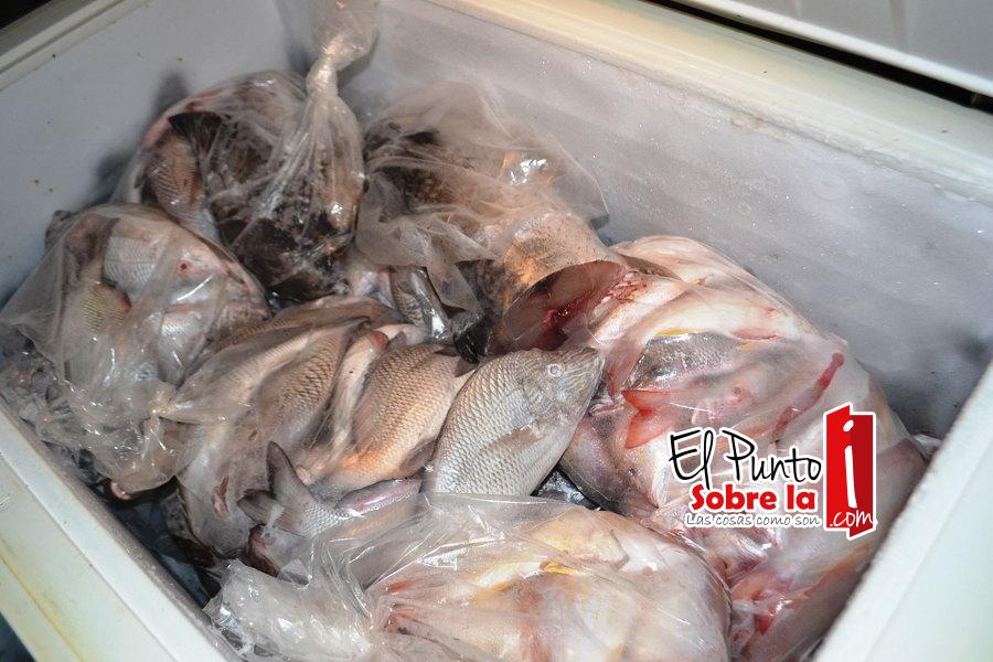 Cofepris inspecciona venta de mariscos y pescados en FCP