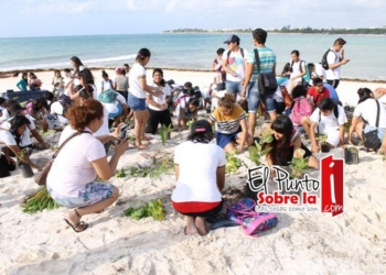 Acciones integrales para mantener las playas limpias en Solidaridad