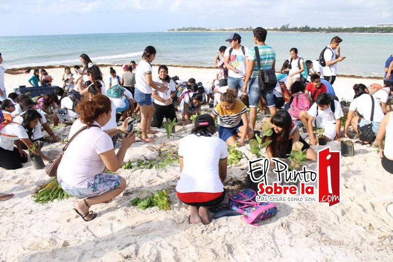 Acciones integrales para mantener las playas limpias en Solidaridad