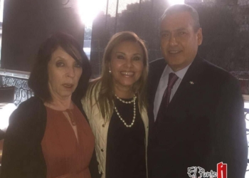 Agrupaciones políticas nacionales reafirmarán respaldo al PRI: Cecilia Loria