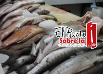 Suspende Cofepris 12 negocios de Bacalar y Chetumal