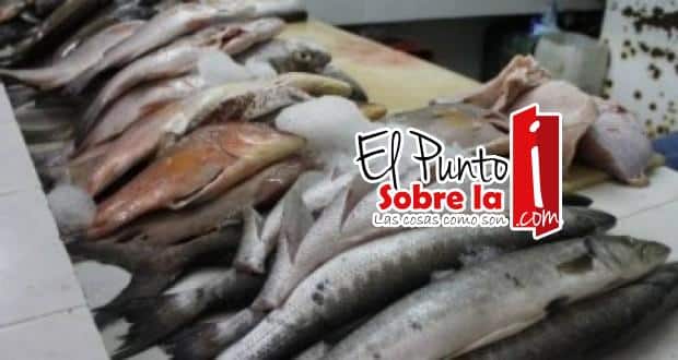 Suspende Cofepris 12 negocios de Bacalar y Chetumal