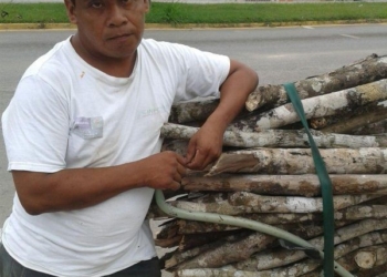 Don Melchor, un hombre que vive de la leña