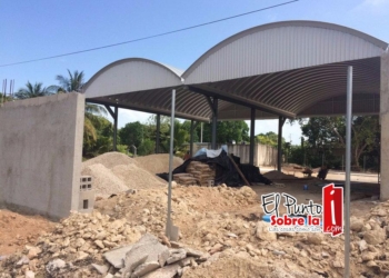 Verificentros en construcción, y el titular de la SEMA “en la luna”