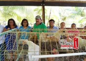 Abuxapqui construyó 53 gallineros comunitarios