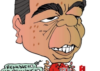 COLINAS: Deshojando