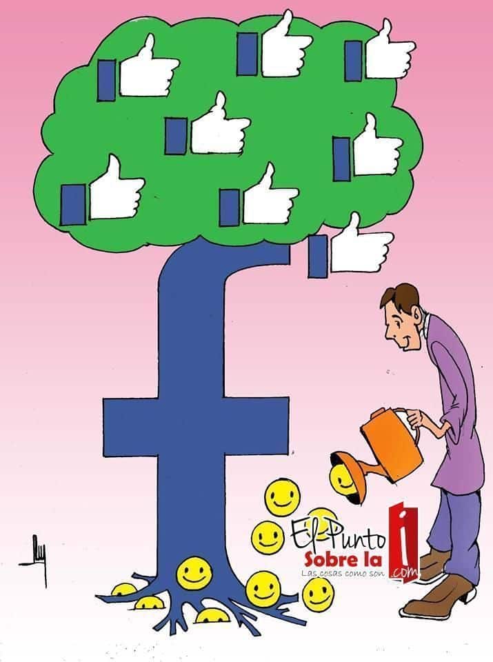LUY: Huerto social