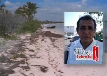 La Costa Maya bajo amenaza de carroñeros invasiones