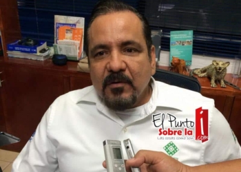 Criarán Murciélagos en zonas rurales de Quintana Roo