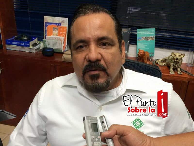 Criarán Murciélagos en zonas rurales de Quintana Roo