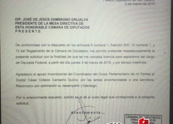 Arlet Molgora deja la diputación federal…¿Va por OPB?