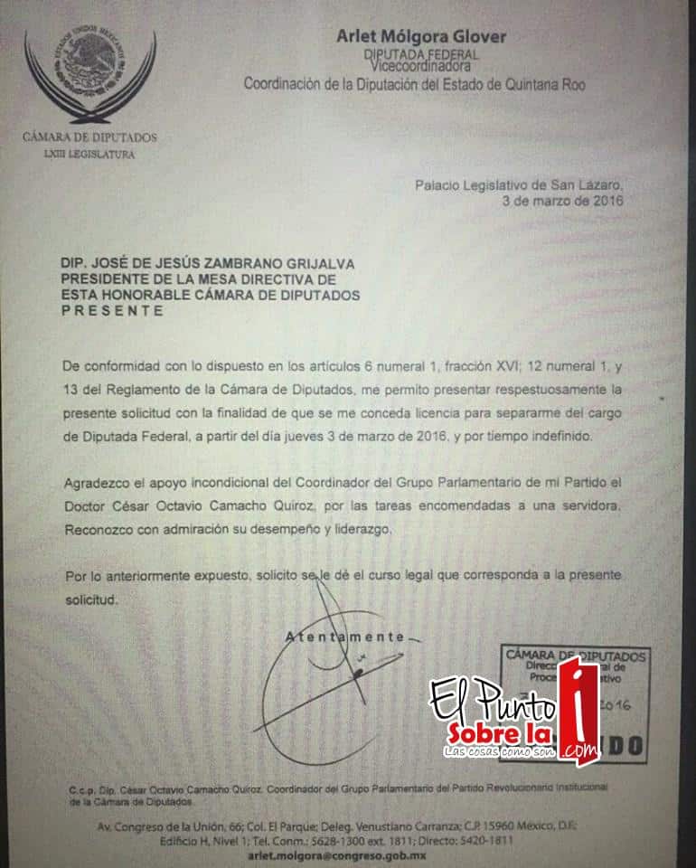 Arlet Molgora deja la diputación federal…¿Va por OPB?
