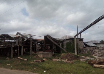En total abandono la industria maderera de JMM