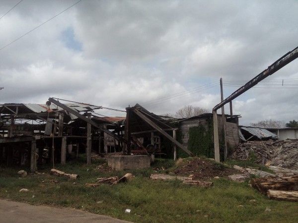 En total abandono la industria maderera de JMM