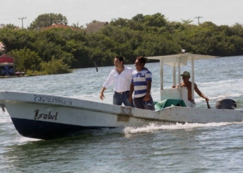 El tiburón ballena, un tesoro que necesita protección: José Luis Chanito Toledo