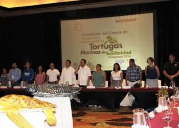 Refrendan compromiso a la protección de la Tortuga Marina