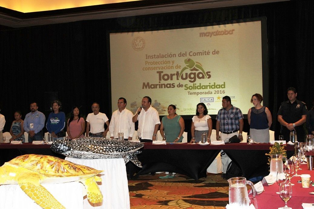Refrendan compromiso a la protección de la Tortuga Marina