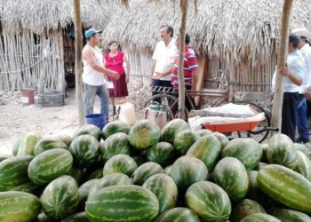 Mi gobierno será un aliado de los campesinos de JMM: Domingo Flota