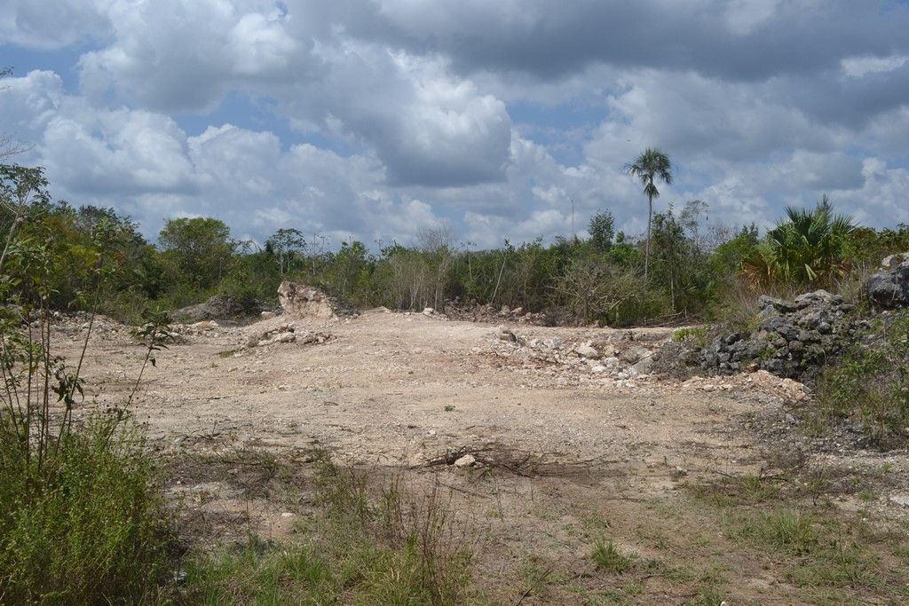 San Antonio sufre abandono de autoridades carrilloportenses