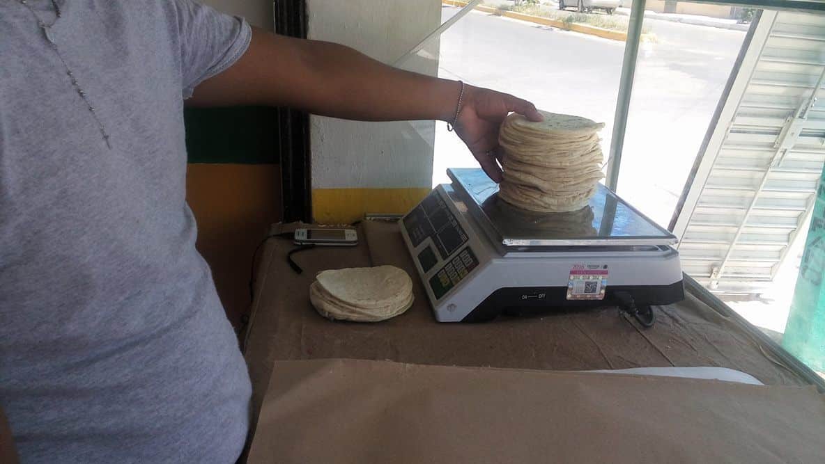 Baja el consumo de tortilla entre habitantes del sur de Q. Roo
