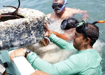 Renovaremos la imagen de Isla Mujeres: Juan Carrillo