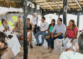 Impulsaré el desarrollo urbano sustentable: Romi Dzul