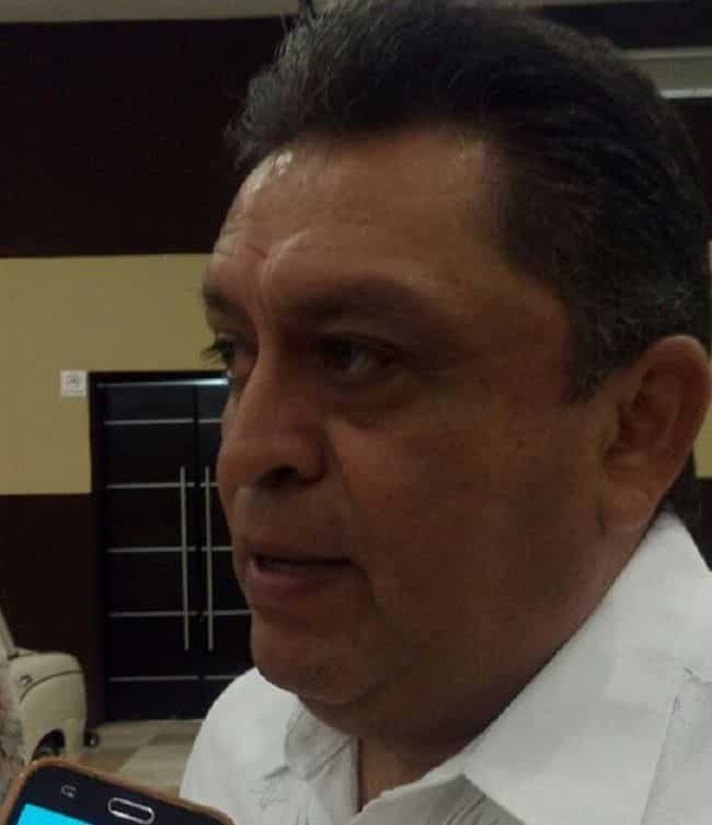 Niños no deben participar en campañas electorales: DIF