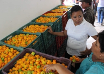 Reafirma Paoly Perera su compromiso de impulsar el sector productivo