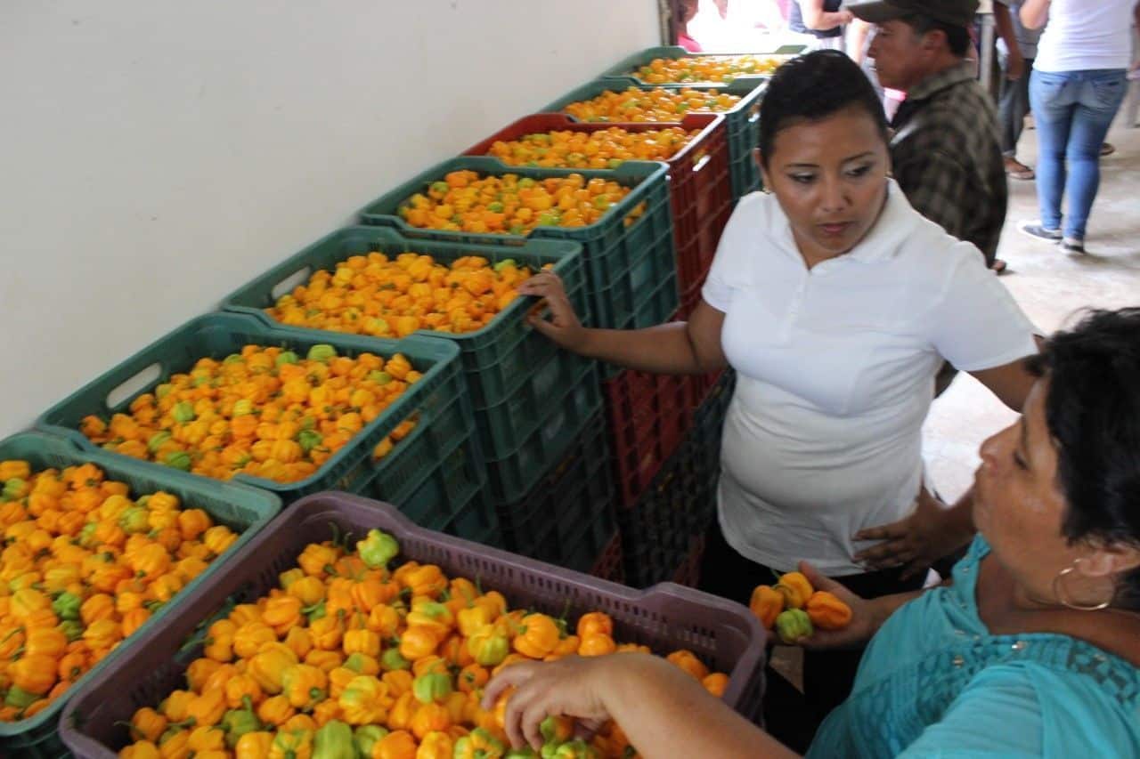 Reafirma Paoly Perera su compromiso de impulsar el sector productivo