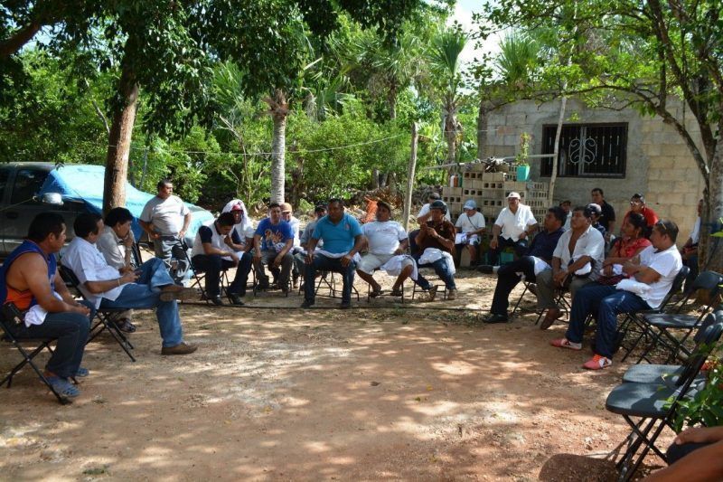 Respalda la cooperativa “CopeMilusos”, proyecto de Domingo Flota