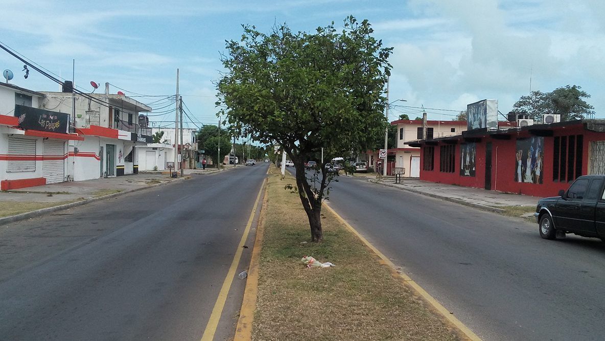 Regidor del PES miente y se da golpes de pecho