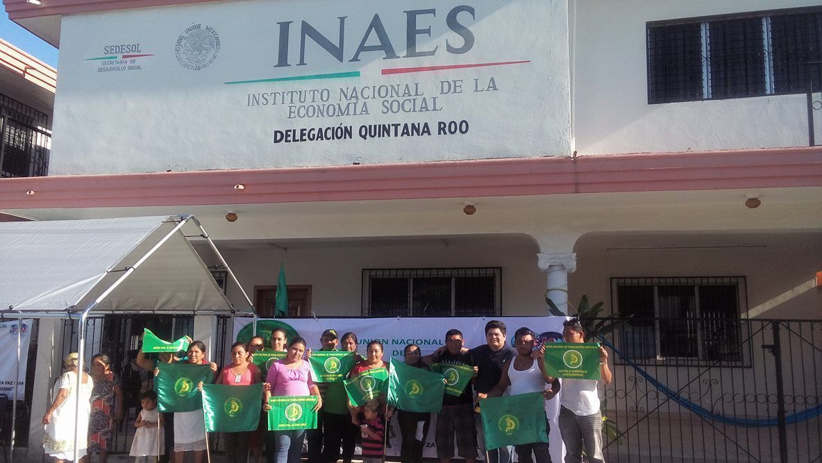 INAES Quintana Roo niega proyectos a productores rurales