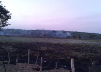Aumenta Riesgo de Incendios Forestales en Bacalar