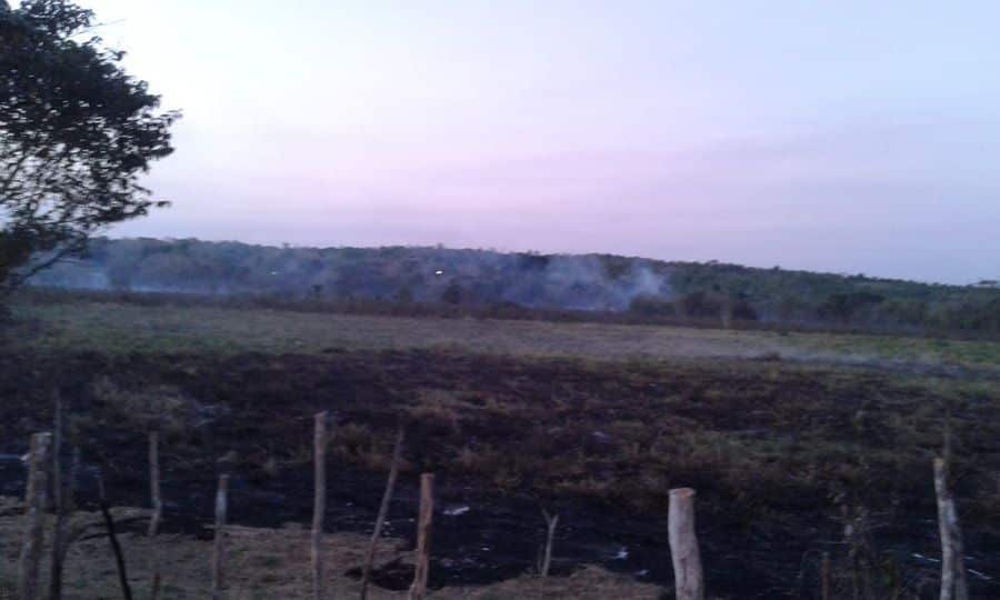 Aumenta Riesgo de Incendios Forestales en Bacalar