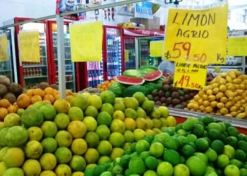 No bajan los precios del limón y la naranja agria
