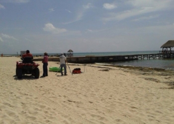 Solidaridad mantiene playas limpias