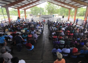 Productores de Othón P. Blanco reciben apoyos por 5 millones de pesos