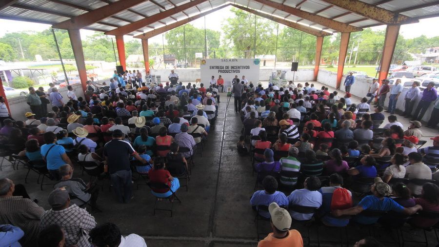 Productores de Othón P. Blanco reciben apoyos por 5 millones de pesos