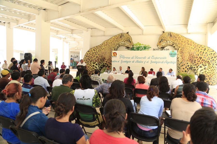 Firman convenio Zoológicos de Chetumal y Belice