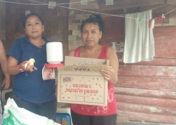 Asistencia técnica de egresados del Sistema Tecnológico Agropecuario a familias vulnerables