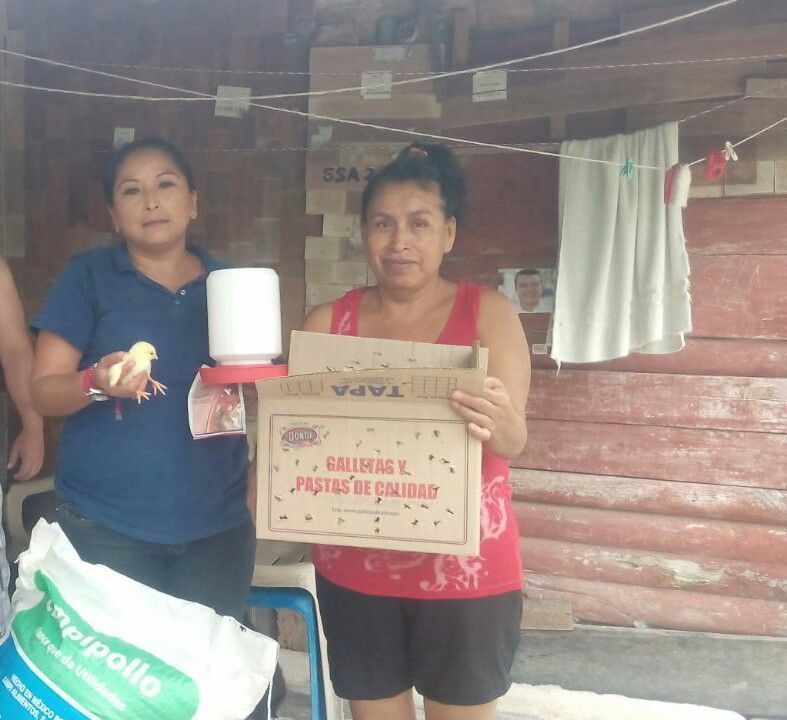 Asistencia técnica de egresados del Sistema Tecnológico Agropecuario a familias vulnerables