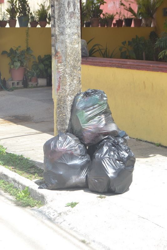 Vacaciones causan acumulación de basura por ausencia de personal