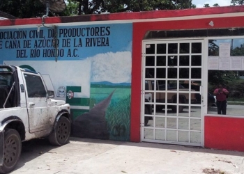 Tres gallos buscan dirigir a los productores de caña del Rió Hondo