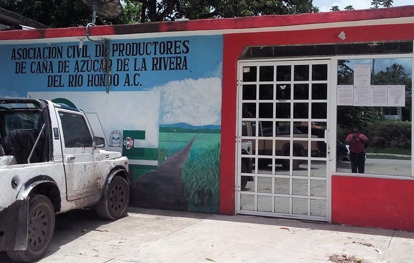 Tres gallos buscan dirigir a los productores de caña del Rió Hondo