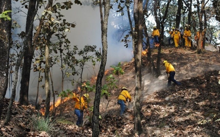 42 millones se gasta Quintana Roo en combate a incendios forestales