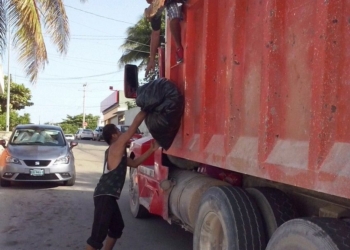 En Solidaridad se trabaja en la lucha contra el dengue